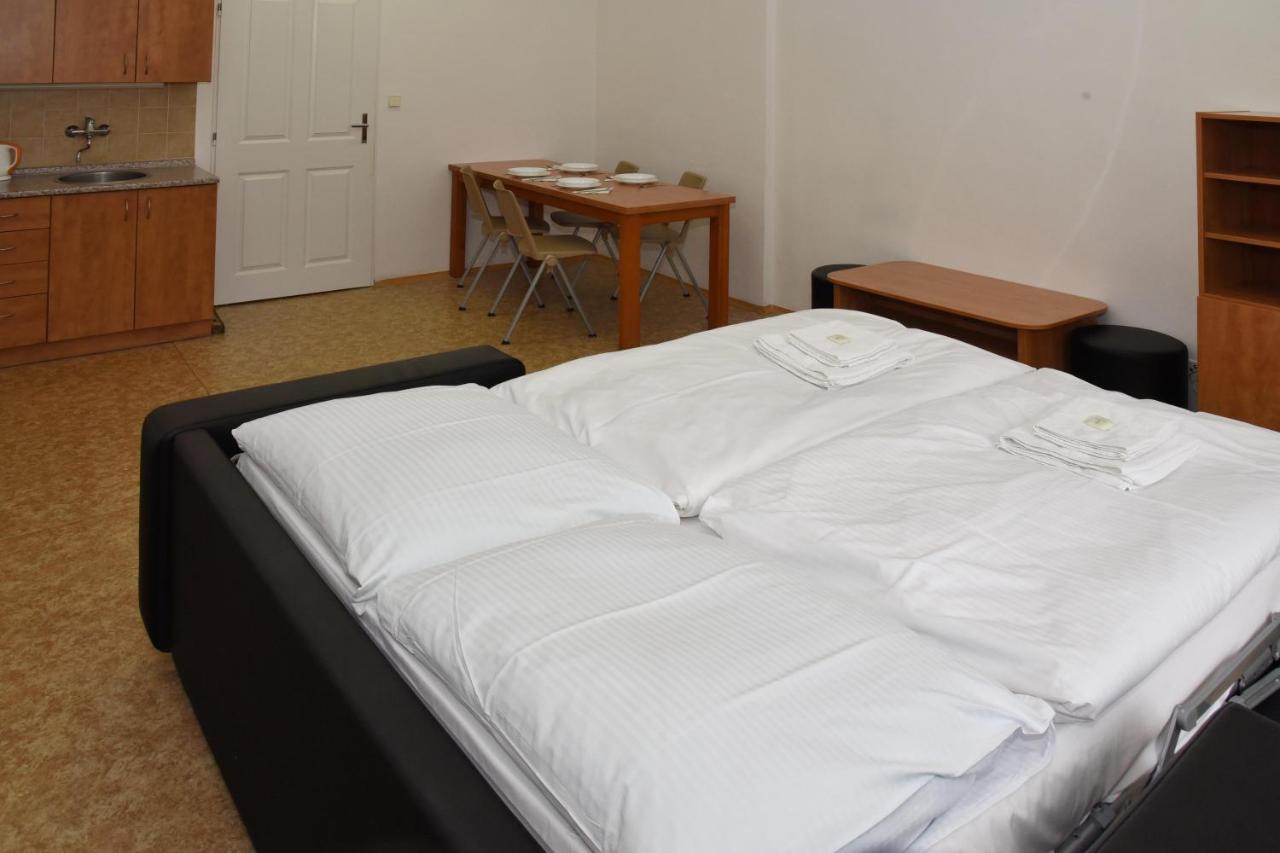 Zamek Racice Hotel Eksteriør billede