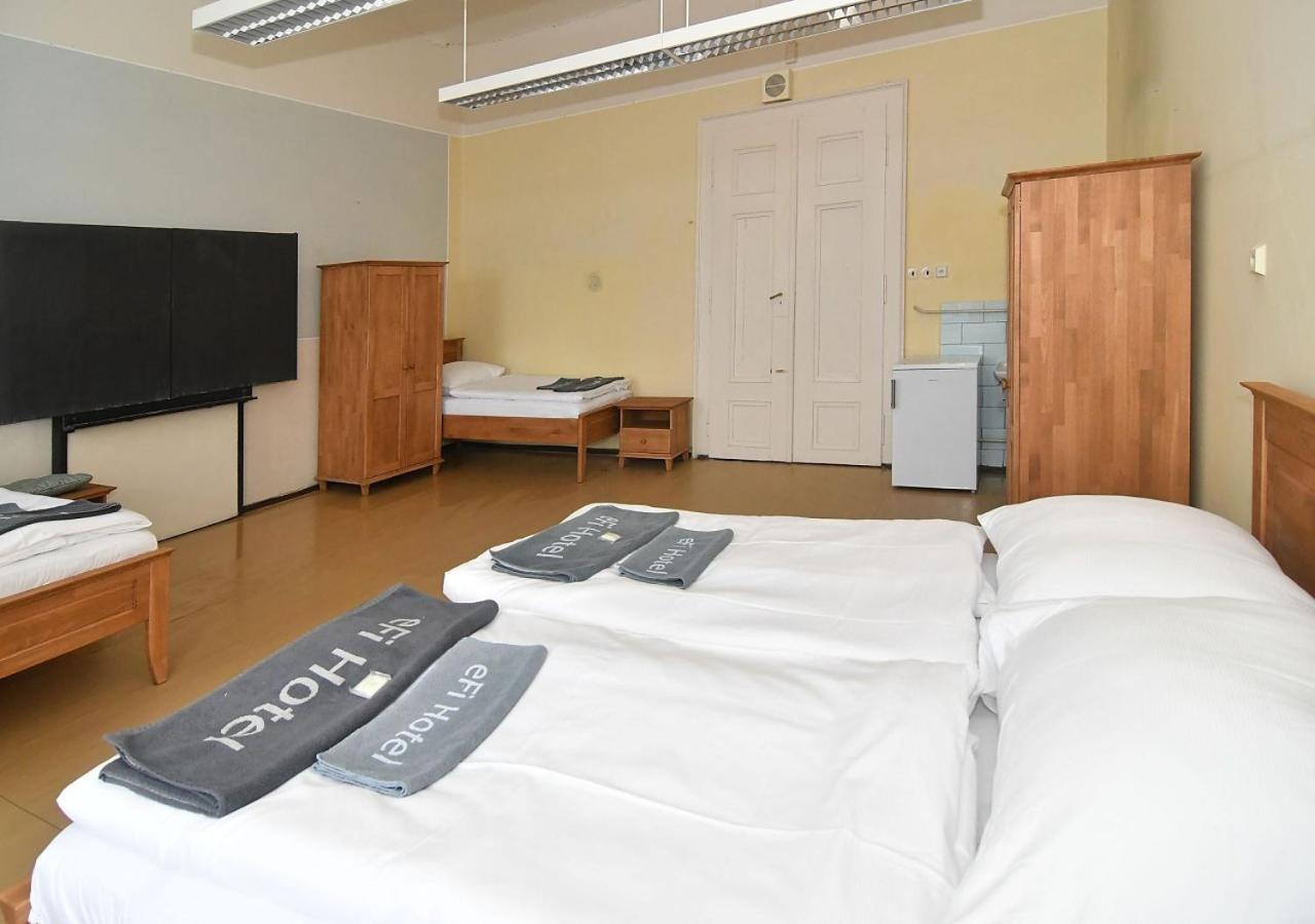 Zamek Racice Hotel Eksteriør billede